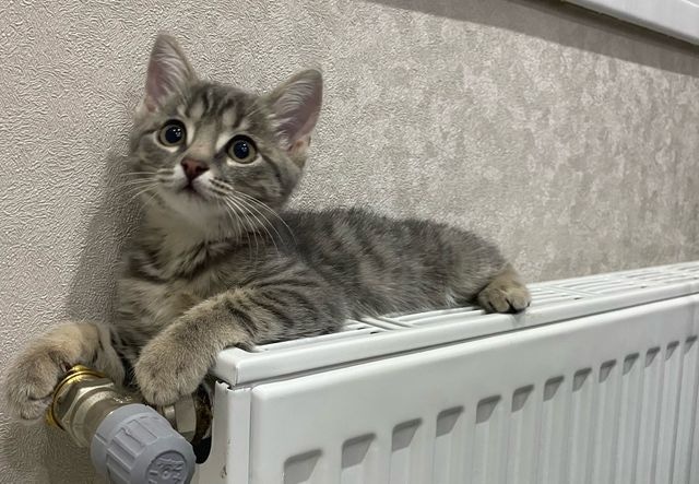 отопление_батарея